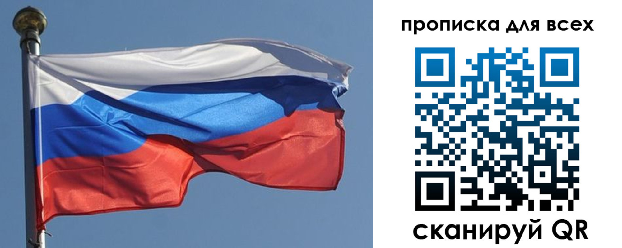 прописка в Купино